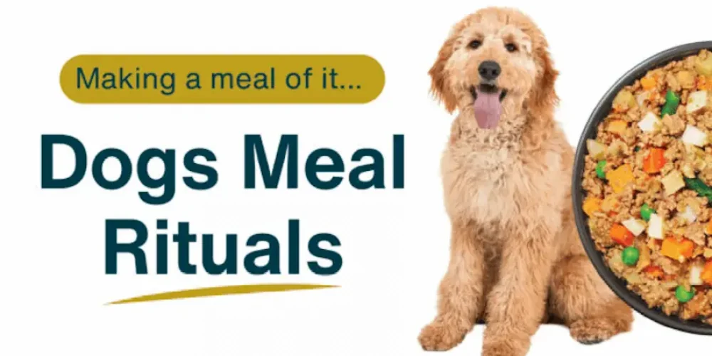 dog meal rituals header